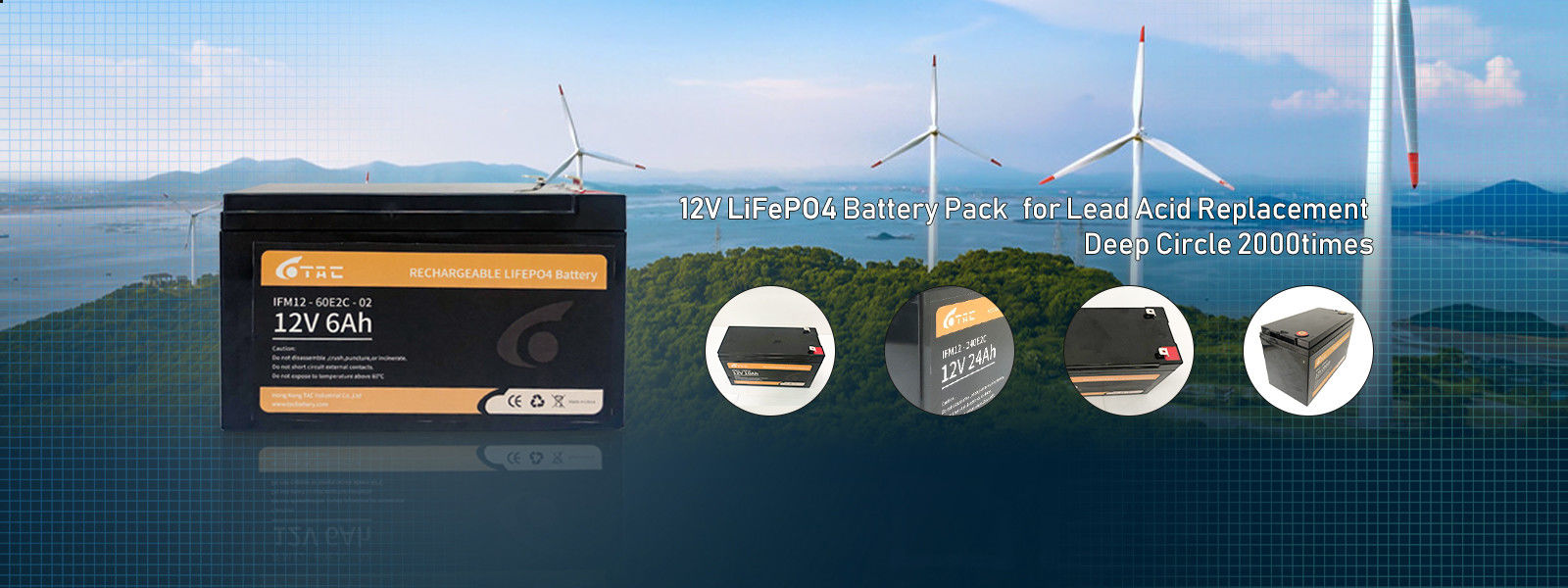 3.2 ভি লিফিপো 4 ব্যাটারি