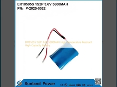 ER18505S 1S2P 3.6V 5600MAH উচ্চ তাপমাত্রা প্রতিরোধী উচ্চ-ক্ষমতা সম্পন্ন ব্যাটারি